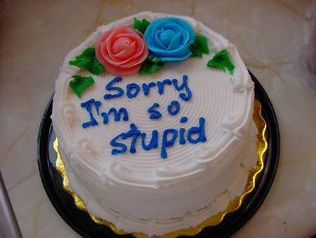 sorry I'm so stupid cake