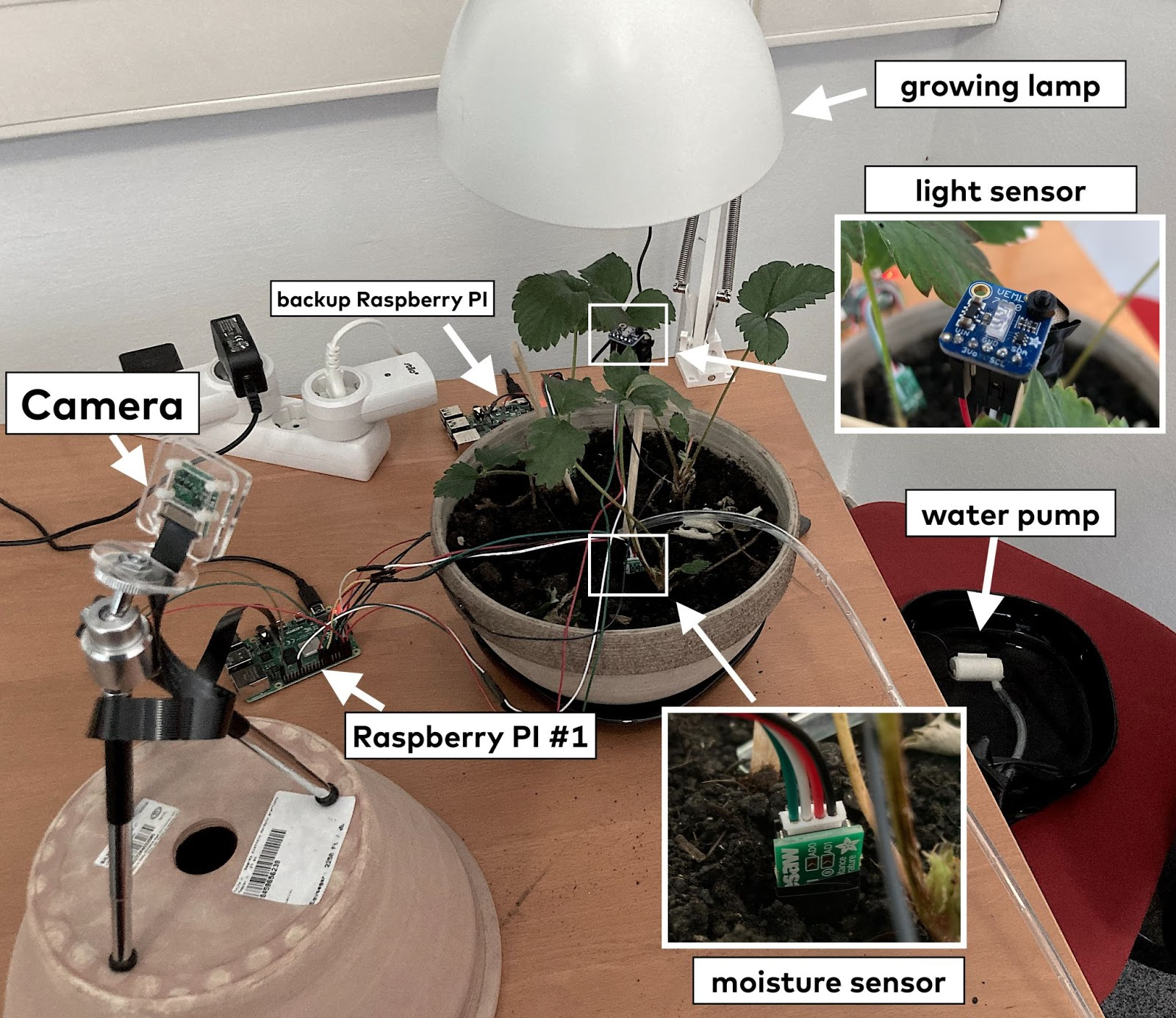 The design specs of the auto-gardener. 