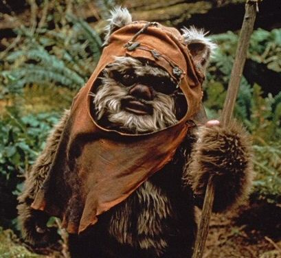 ewok-closeup